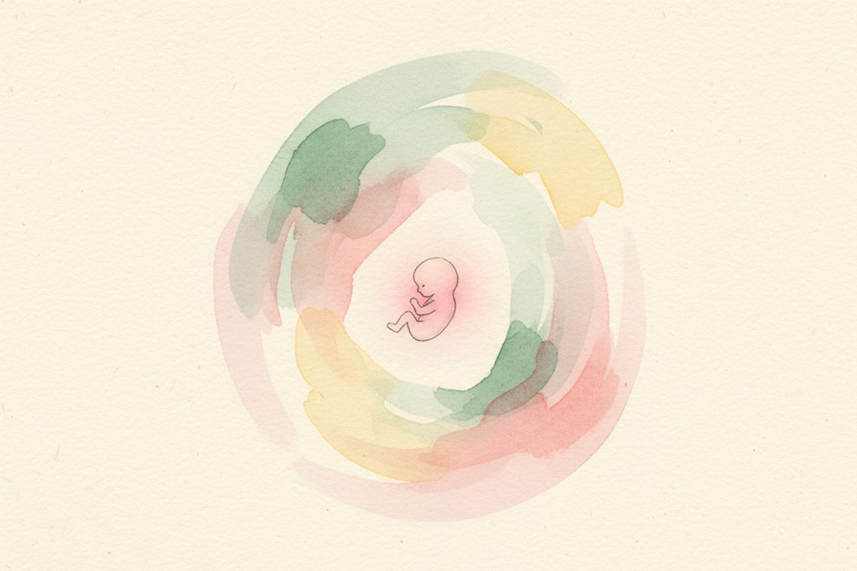 A warm watercolor illustration of a 5-week fetus